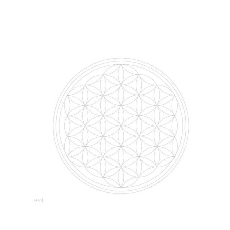 FLOWER OF LIFE 1,0 l Glasflasche